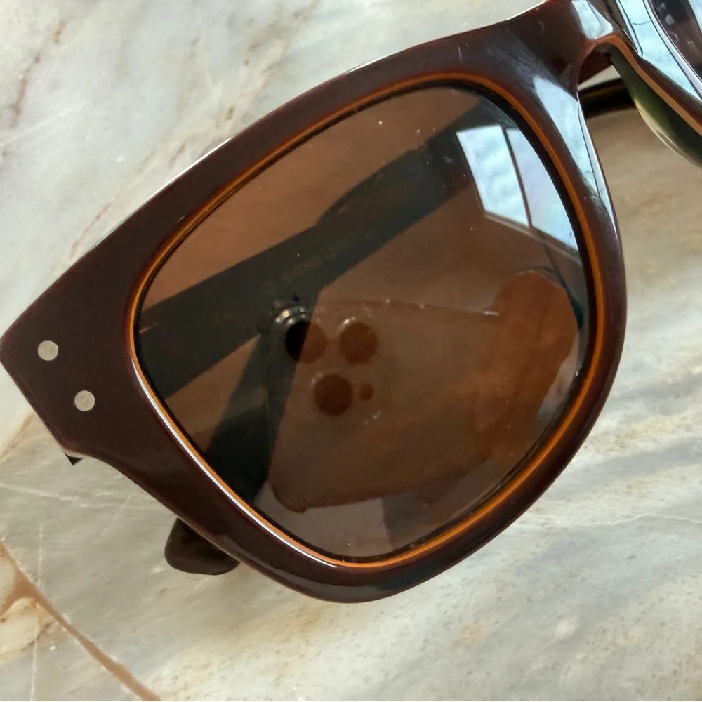 Classic Men's Wayfarer Sunglasses in Dark Brown